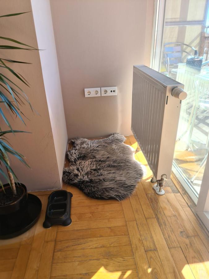 Apartman *Joy* Ösek Dış mekan fotoğraf